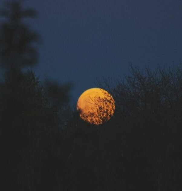 Gemini Full Moon 2021