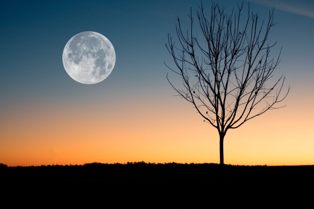 Full Moon in Aquarius